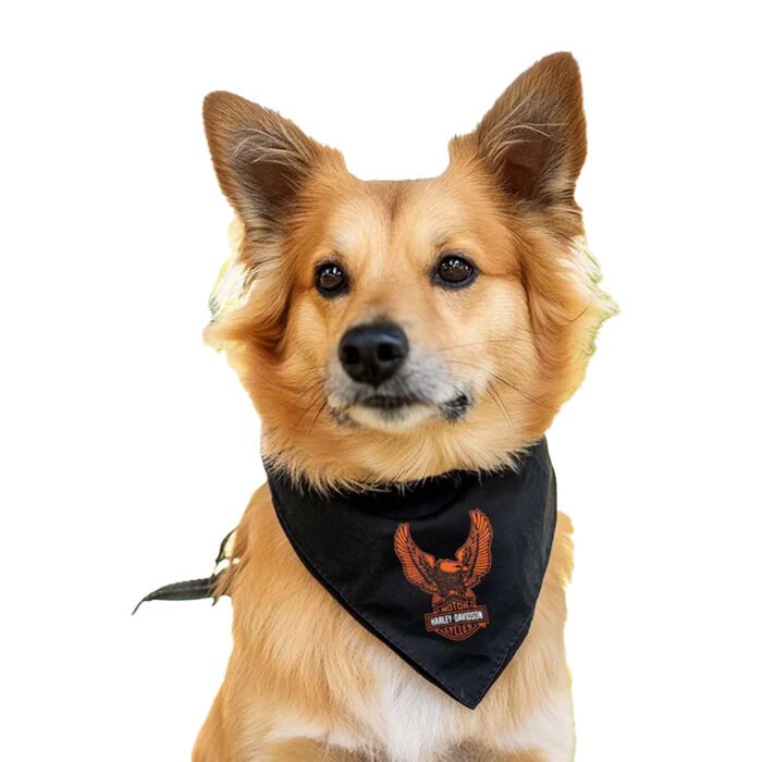Harley-Davidson Up-Winged Eagle Water Resistant Pet Bandana Large/X-Large, Black HDX-90218 - Image 3